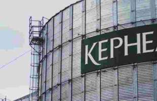 Кукурудза зайняла 48% посівних площ 