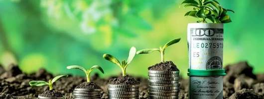 Топ-10 найпопулярніших товарів для аграріїв в Україні 2026: що вибирають фермери?