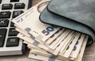 У шести з восьми справ суди повністю скасували штрафи ТЦК бухгалтерам - Опендатабот