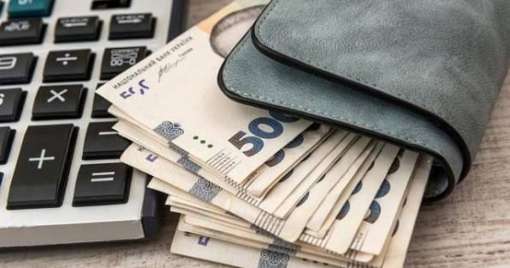 У шести з восьми справ суди повністю скасували штрафи ТЦК бухгалтерам - Опендатабот