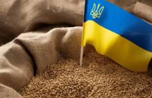 Експорт українських зернових перевищив 2,6 млн тонн