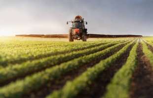 ЄБРР схвалив нову програму для інвестування в передові технології агропродовольчої системи України