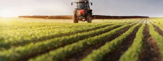 ЄБРР схвалив нову програму для інвестування в передові технології агропродовольчої системи України