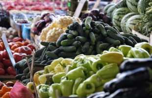 Сільгоспвиробництво в Україні зросло на 1,7% за два місяці 2026 року