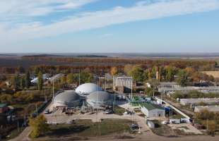 Акціонери цукрового заводу групи «Галс Агро» зберуться 18 квітня