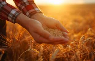 Україна трансформує Grain from Ukraine у Food from Ukraine для глобальної продовольчої стійкості