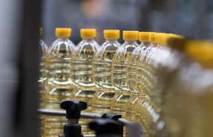 Український агрохолдинг «Кернел» розширює співпрацю з іспанським виробником рослинних олій