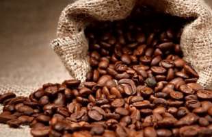 Урожай кави в Бразилії може зрости на 17% і встановити рекорд у сезоні 2026/27