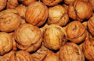 Експорт горіхів із України впав на 90% через нові правила